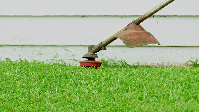 Lawn Irrigation Installation and Maintenance